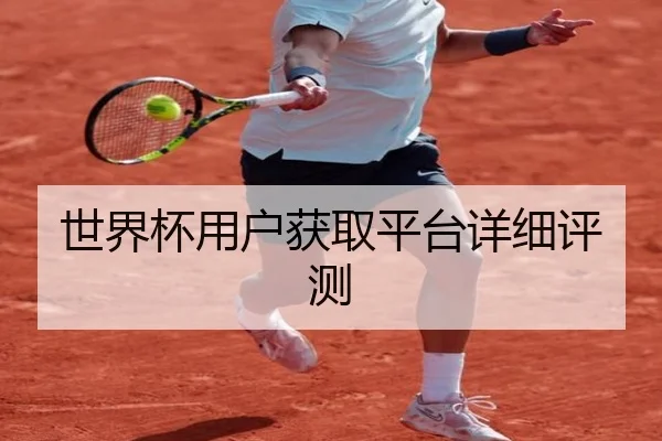 世界杯用户获取平台详细评测