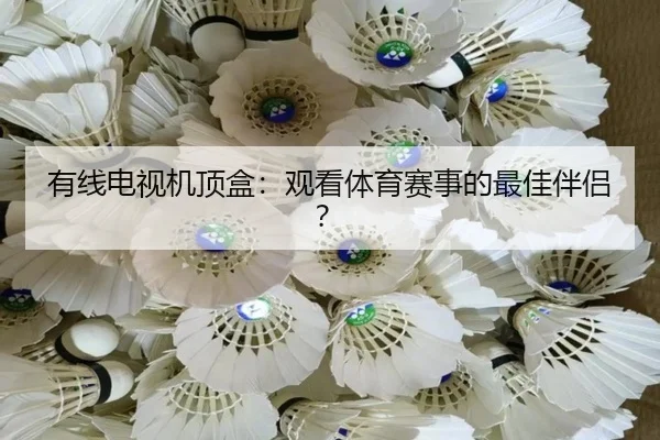 有线电视机顶盒：观看体育赛事的最佳伴侣？