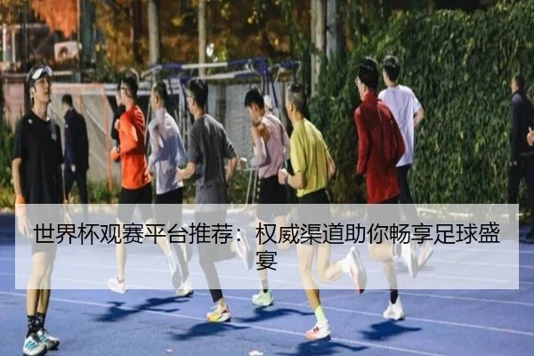 世界杯观赛平台推荐：权威渠道助你畅享足球盛宴